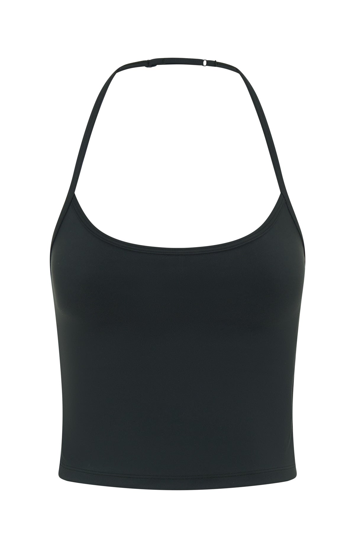 Never Last Crop Forest