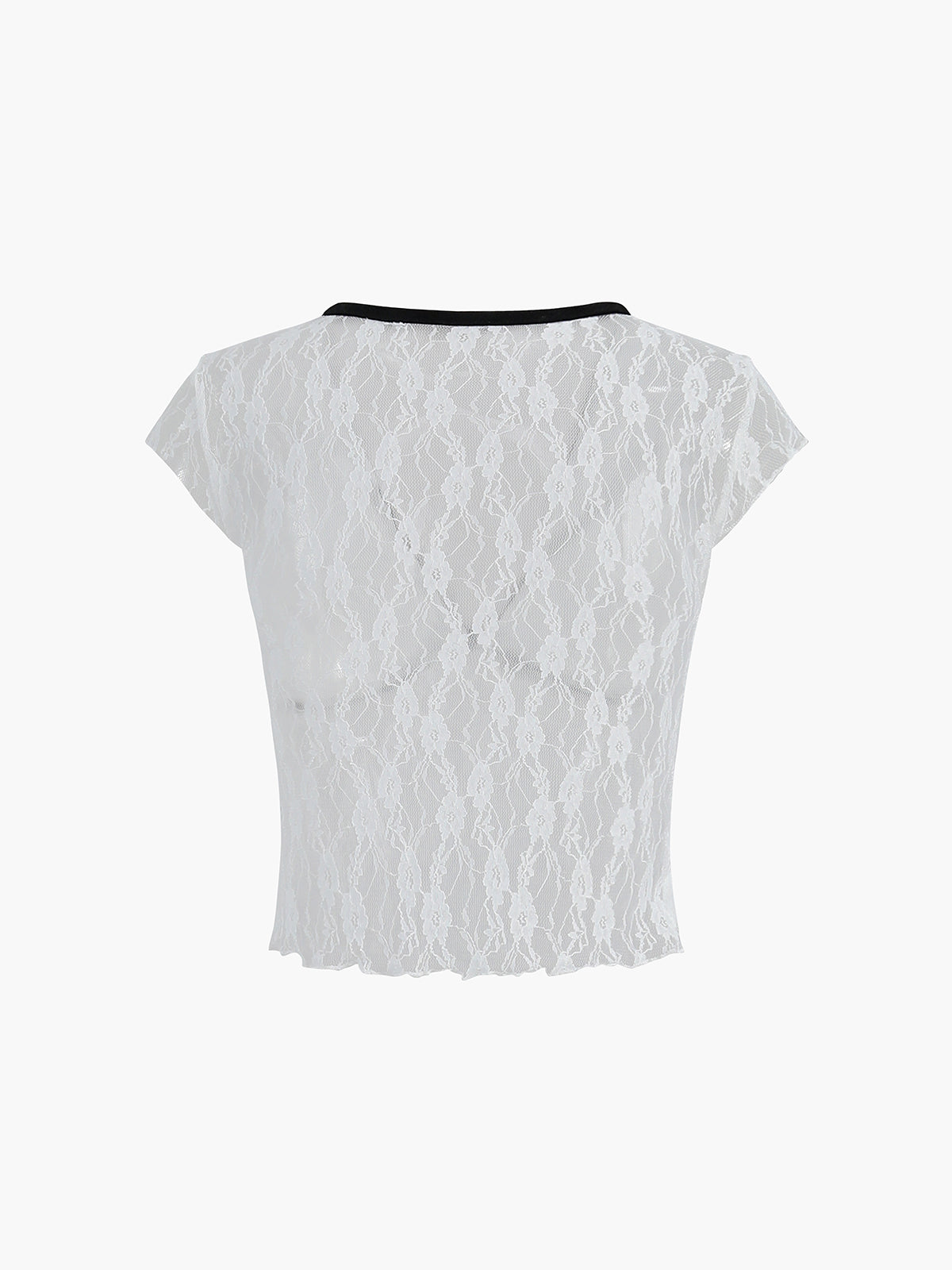 Shine In Summer Sheer Lace Contrast Trim Top