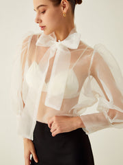 Long Sleeve Sheer Shirt